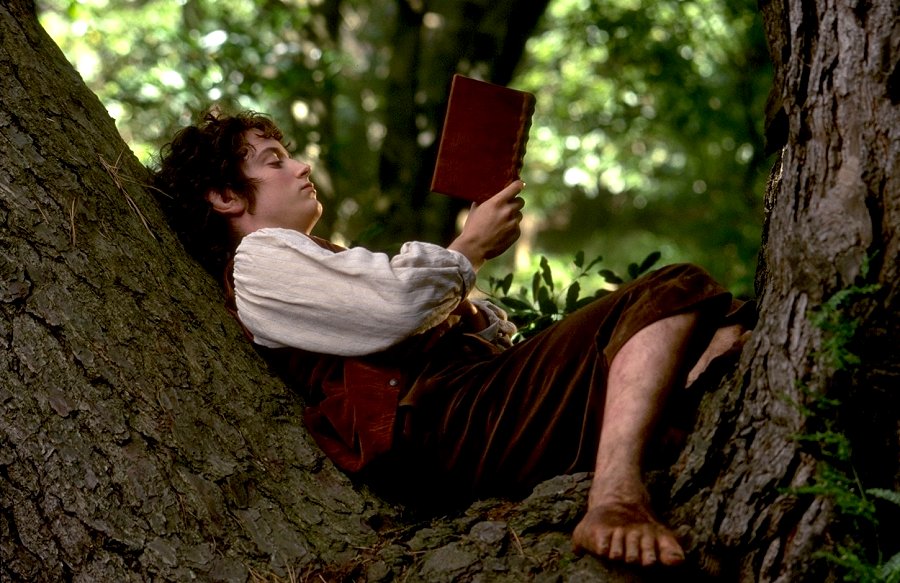 Frodo-reading